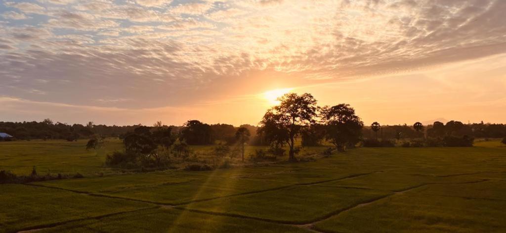 Ehala Family Rest Hotel Anuradhapura Bagian luar foto